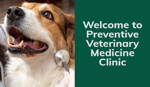 Welcome to Preventive Veterinary Medicine Clinic