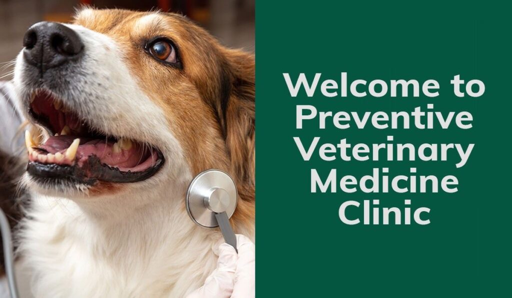 Dog with a stethoscope on its neck next to a sign for a veterinary clinic.