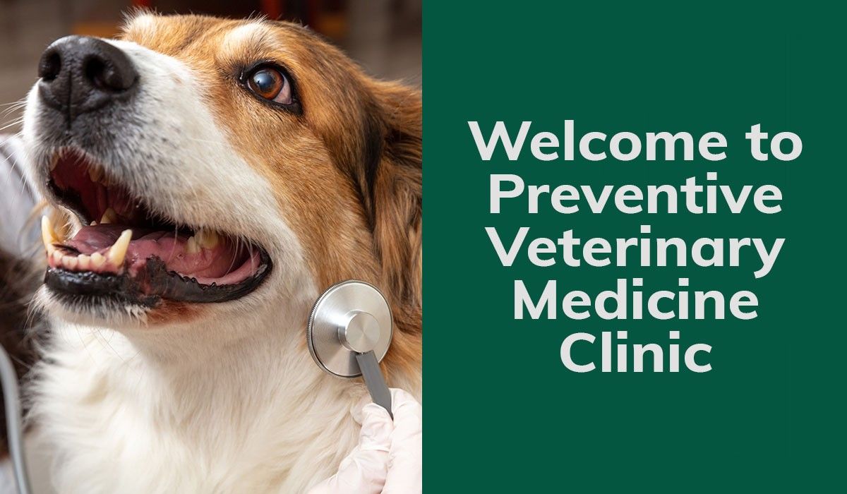 Dog with a stethoscope on its neck next to a sign for a veterinary clinic.