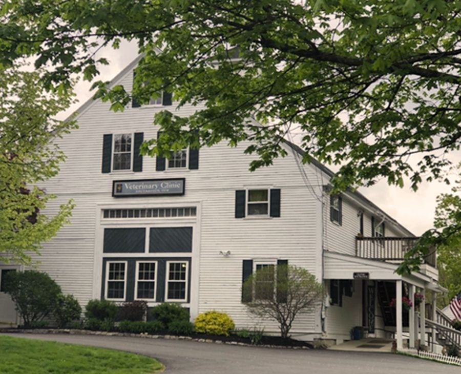 White veterinary clinic building with trees and a landscaped front yard.