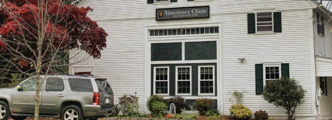 Exterior view of a two-story veterinary clinic with a parked SUV and colorful trees.