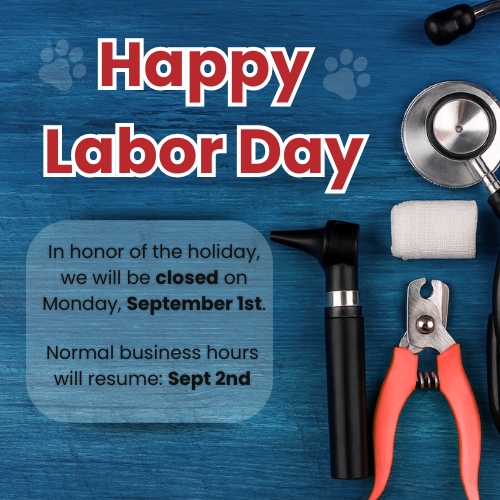 Labor Day greeting with a stethoscope and tools on a blue background.