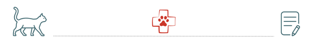 healthy dog supported by pet insurance at Preventive Veterinary Medicine Clinic Pepperell MA