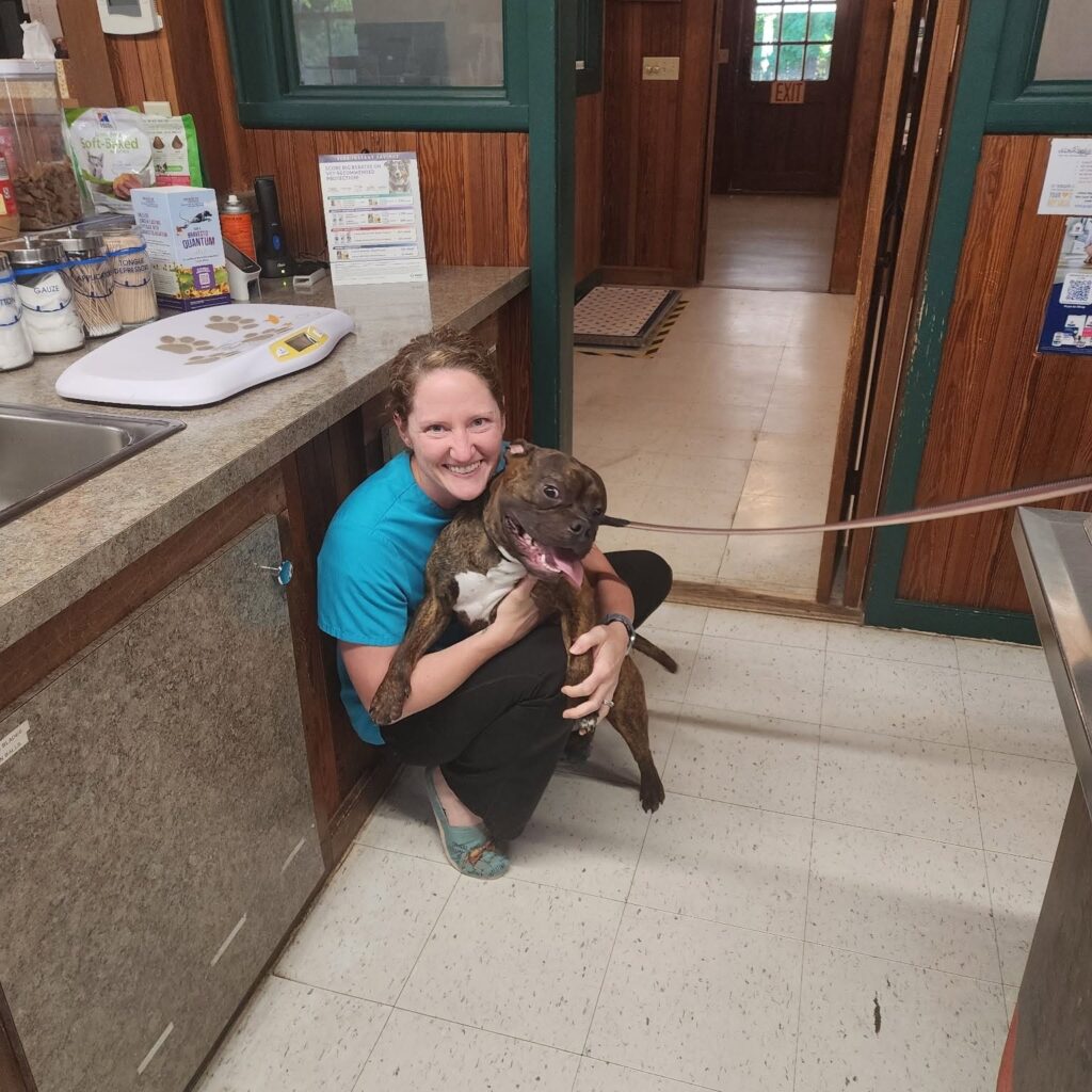 Veterinary staff member hugging a happy brindle dog inside an animal clinic.